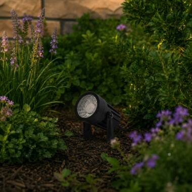 Easyfit Core 12v Garden Lights - Magnolia LED Outdoor Spotlight