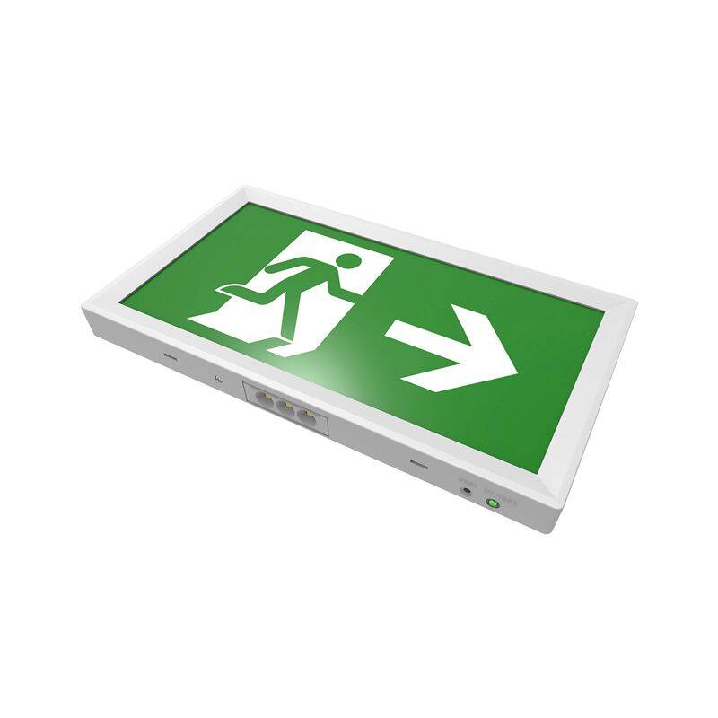 Image of Emergency Exit Box Manual/Self Test