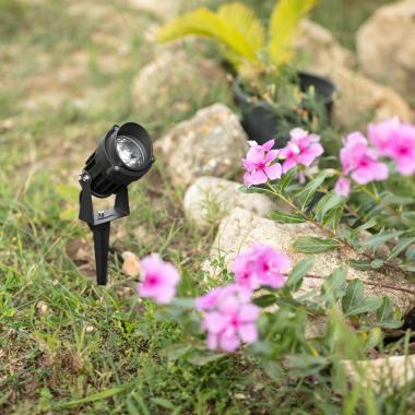 Outdoor RGB 10W LED Spotlight Vetusta IP65 with Spike