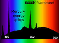 Fluorescent light spectral distribution