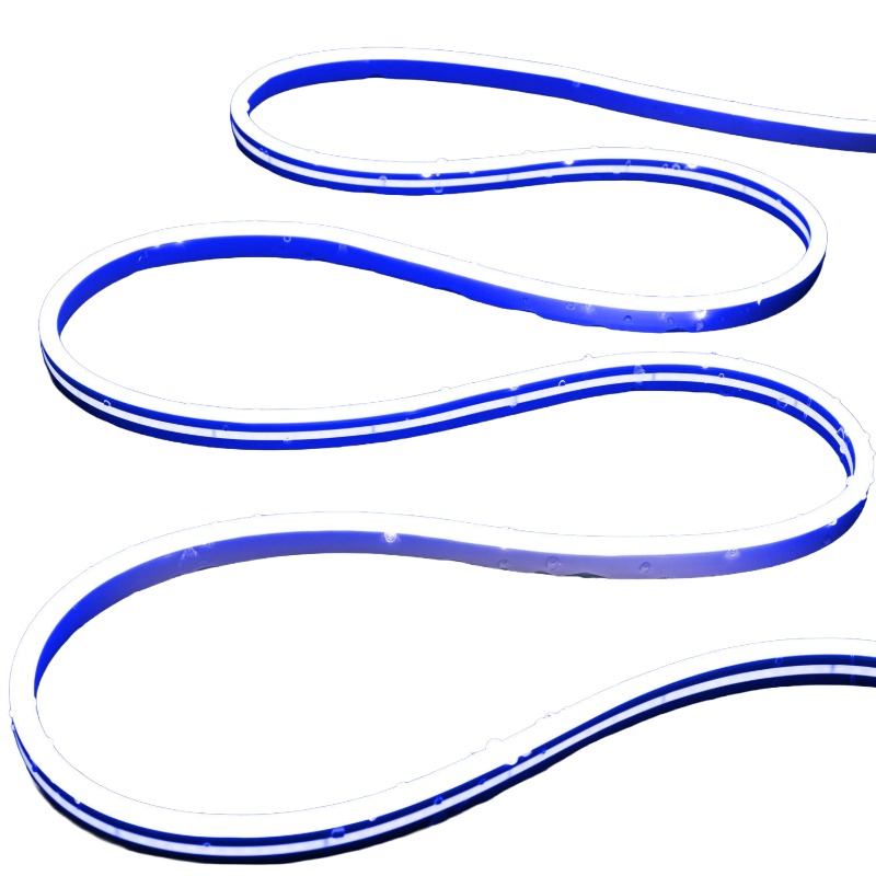 LED Neon Strips