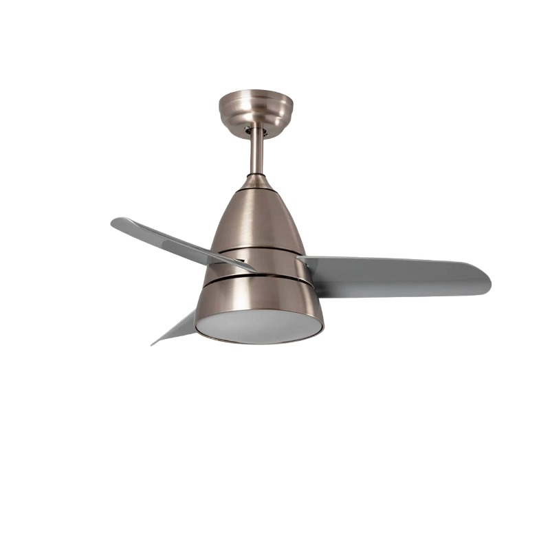 Ceiling Fans