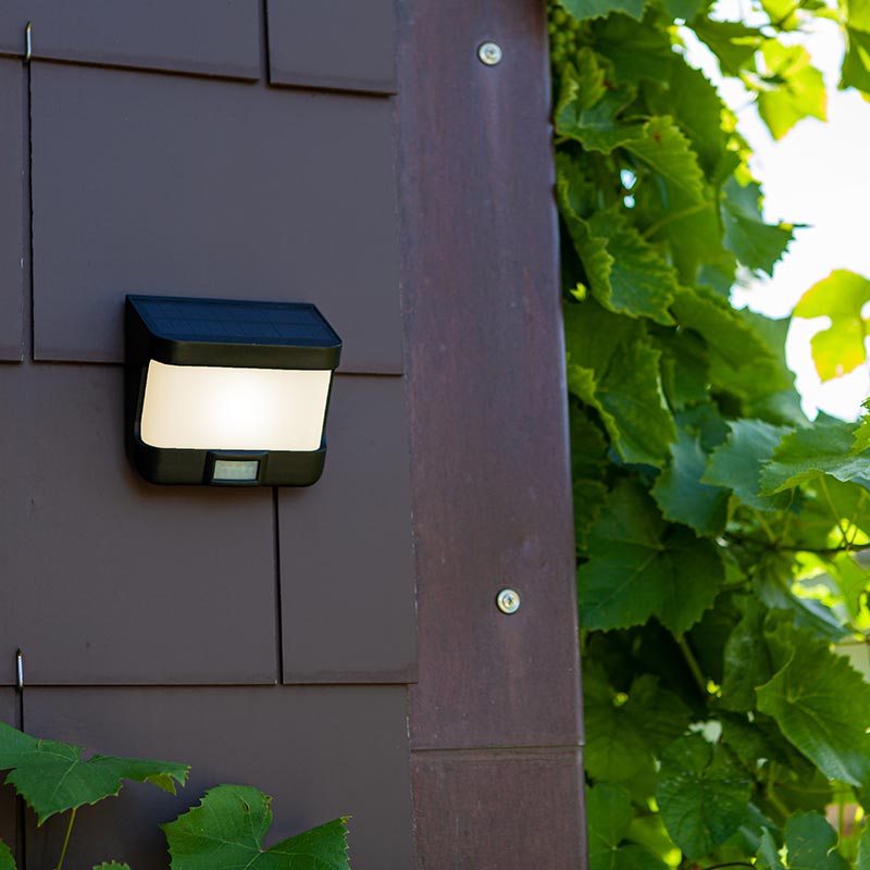 Lutec Try Solar LED Outdoor Wall Light with PIR Sensor - Dark Grey